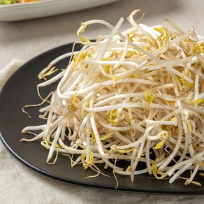 자연진리 천연암반수 아삭아삭 숙주나물 1kg 2kg 4kg, 1개