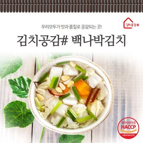 김치공감# (당일생산) 백나박물김치 2kg 3kg 5kg, 1개