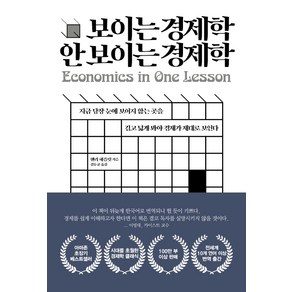 보이는 경제학 안보이는 경제학:지금 당장 눈에 보이지 않는 곳을 길고 넓게 봐야 경제가 제대로 보인다