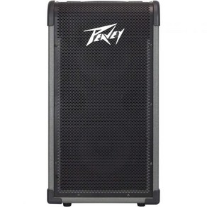 Peavey 피비 MAX 208 200 와트 베이스 앰프 콤보