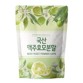 닥터릴리 맥주효모 분말 가루 국산, 1개, 500g