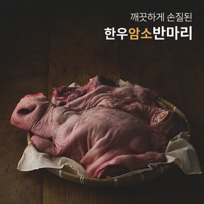 (암소) 한우소머리 반마리