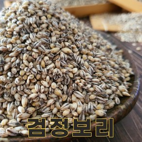 전남 해남 24년산 국산 흑보리 1kg 흑보리쌀 검정보리쌀 검정보리