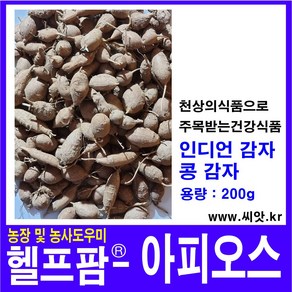 헬프팜 아피오스 200g 인디언감자 콩감자 감자, 1개