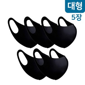 국내생산 빨아쓰는 항균 마스크 대형 블랙 5장