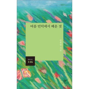 여름 언덕에서 배운 것:안희연 시집