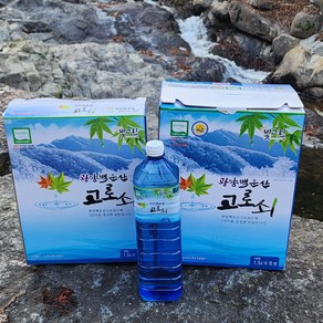 [서기네농장] 광양 백운산 당일채취 고로쇠 수액 고로쇠물, 3개, 1.5L