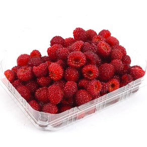 [순진한]새콤달콤 프리미엄 2024 햇 산딸기 생과 / 당일수확발송 250g 500g 1kg, 2개