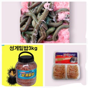 밑밥 셑트 C-2 (생활낚시 패키지) 성게밑밥 3키로 2개 + 감성프로 1개+ 청갯지렁이 100g, 1개