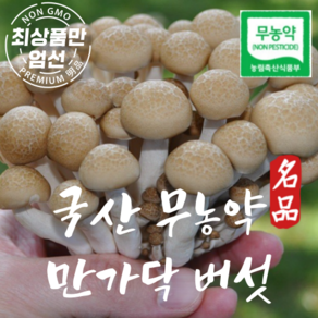 국산 만가닥버섯 무농약 만가닥버섯 1kg, 1개