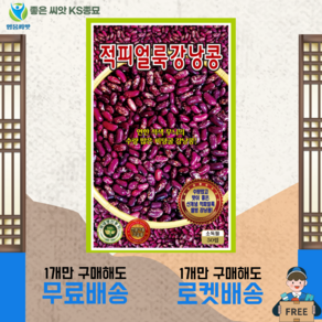 적피얼룩강낭콩 씨앗 (50립) 종묘 종자 적강낭콩 강낭콩 강남콩 콩 씨 영웅 KS, 1개