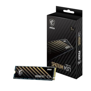 MSI SPATIUM M371 NVMe M.2 1TB 내당 SSD