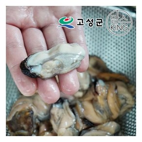 [공룡나라]동성수산 국산 생물 홍합살 2kg