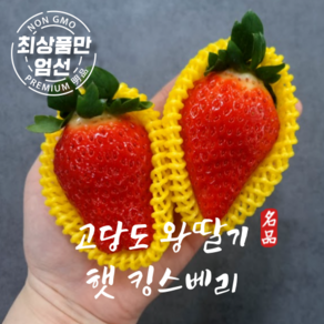 왕딸기 고당도 킹스베리 특품 논산 딸기, 1박스, 킹스베리 400g(6~9과)