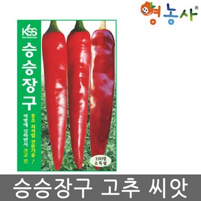 승승장구 고추씨앗 100립 역병에 강한 홍초 고추씨 품종, 승승장구고추, 1개