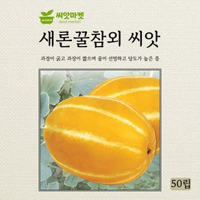 다농 새론꿀참외 씨앗 50립, 1개