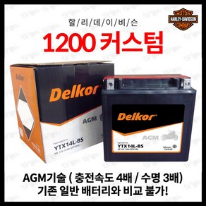 할리데이비슨 1200 커스텀 1200CC 2011년식 배터리 YTX14L, 1개