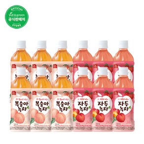 웰그린 스위츠 복숭아녹차&자두녹차 페트음료 500ml * 12개입, 12개