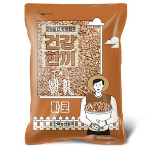 고대곡물 파로 FARRO, 1개, 500g