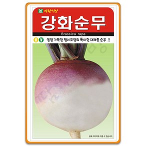 강화순무 씨앗 2000립 종자 강화 순무 씨앗 무씨 무종자, 1개, 5g