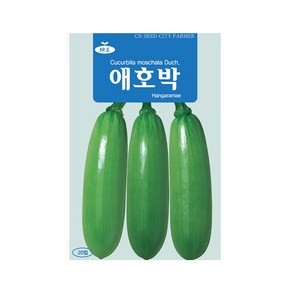 (CN) 애호박 씨앗 (20립), 1개