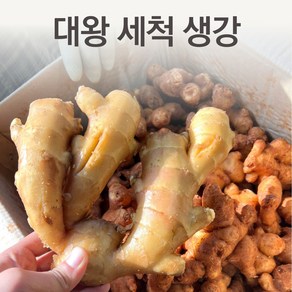 중국산 대왕 세척 생강 1kg 수입 깐생강 초절임 채, 1개