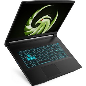 MSI 2023 브라보 17 라이젠7 라이젠 7000 시리즈 지포스 RTX 4060, 블랙, 512GB, 8GB, Fee DOS, MSI 브라보17 C7VF (027)