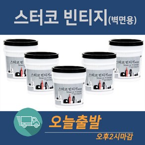 테라코 스터코빈티지(벽면용)20kg, 1개