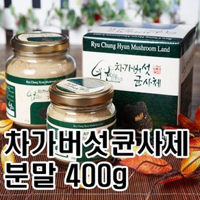 류충현약용버섯 러시아산 차가버섯균사체 분말 가루 차가버섯차 400g, 2개