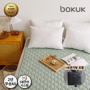 보국 에르데코 에어셀 베이직 전기요 BKB-2604S, 싱글(100 x 180 cm), 그린