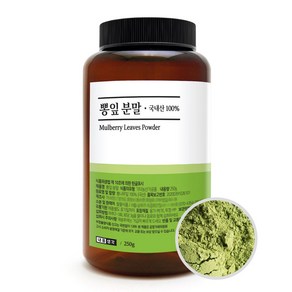 내몸생각 뽕잎 분말 가루 국내산 100%, 250g, 1개