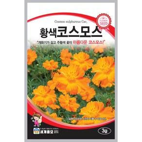 황색코스모스 3g 세계종묘 황색코스모스 꽃씨앗, 1개