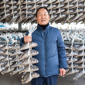 영광 보리굴비 법성포 부세 보리굴비 찐 굴비 왕특대 선물세트 구가네굴비