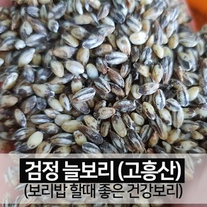 [진도장모와서울큰사위] 검정 늘보리 보리쌀 국산 꽁보리 [24년산 출하], 1개, 1kg