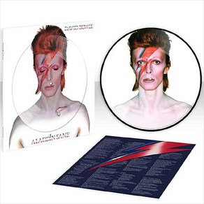 (수입LP) David Bowie - Aladdin Sane (Pictue Disc LP)