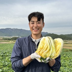 해남 절임배추 20kg 절인배추 김장 해가온, ++필수추가사항에 희망도착일 입력해주세요++, 1개