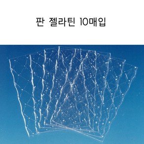 판젤라틴 10매입 소분 젤리만들기 젤라틴가루 홈베이킹 베이킹재료 하나베이킹