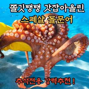 갓잡아서 더욱싱싱한 통영 돌문어 산지직송