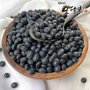 힘찬농부 국산 서리태 속청 검은콩, 1개, 2kg