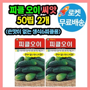 피클 오이 씨앗 (합 100립) 생식용 오이종자 오이씨, 2세트