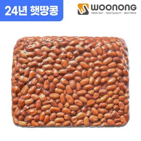 우농 24년산 햇 볶음땅콩 (관땅콩), 1개, 3.75kg 소사이즈(42/46)