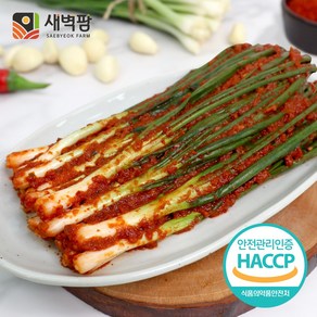 새벽팜 파김치 1kg 2kg 3kg 국내산 100% 전라도김치