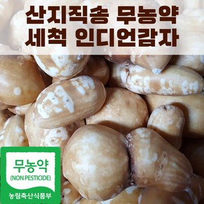 산지직송 국내산 세척 인디언감자 아피오스 콩감자, 1박스, 1kg(상)