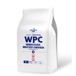 원데이뉴트리션 WPC 웨이프로틴 단백질 포대유청, 2kg, 1개