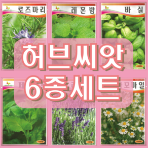 허브 씨앗 6종 세트 (로즈마리+바질+레몬밤+페퍼민트+라벤더+카모마일), 1개