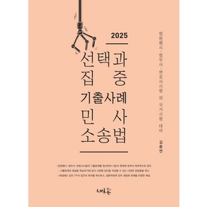 2025 선택과 집중 기출사례 민사소송법:법원행시 법무사 변호사시험 외 국가시험 대비, 새흐름