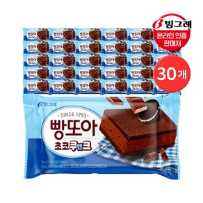 빙그레 빵또아 초코쿠앤크 아이스크림