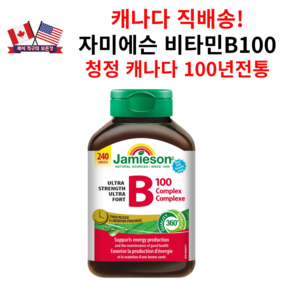 자미에슨 울트라 스트렝스 B100 컴플렉스 100mg 240정, 1개