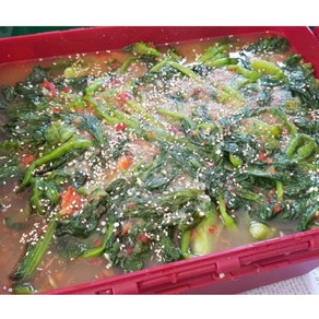 직접키운 부드러운 돌산집 돌산 청갓 돌갓 물김치, 1개, 1kg