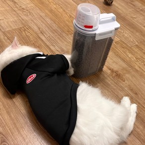 달빛마켓 강아지 고양이 애완 사료보관통 사료보관함 2500ml